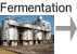 Fermentation